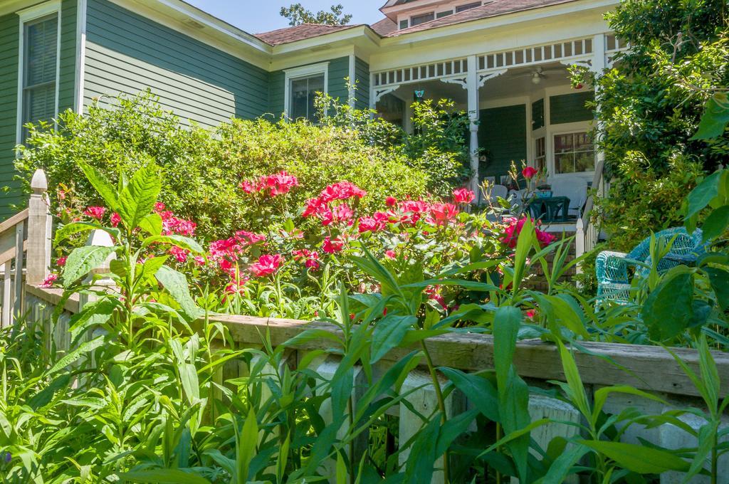 ฮอลลี่ เฮาส์ ออฟ แฮมิลตัน Bed & Breakfast Hamilton ภายนอก รูปภาพ